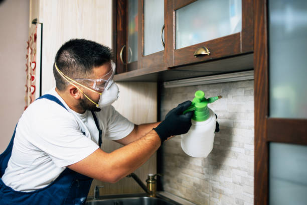 Insect Control in Tumwater, WA