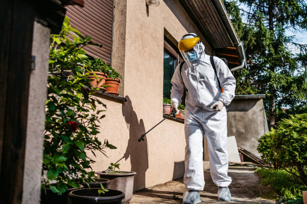 Best Pest Control Near Me in Tumwater, WA