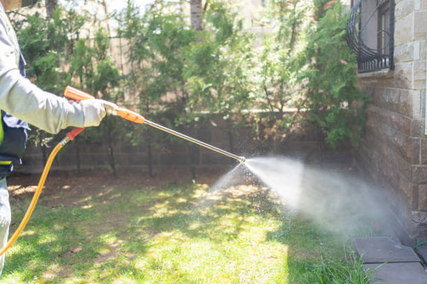 Flea Control Services in Tumwater, WA