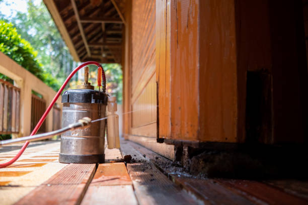 Best Cockroach Control Services  in Tumter, WA